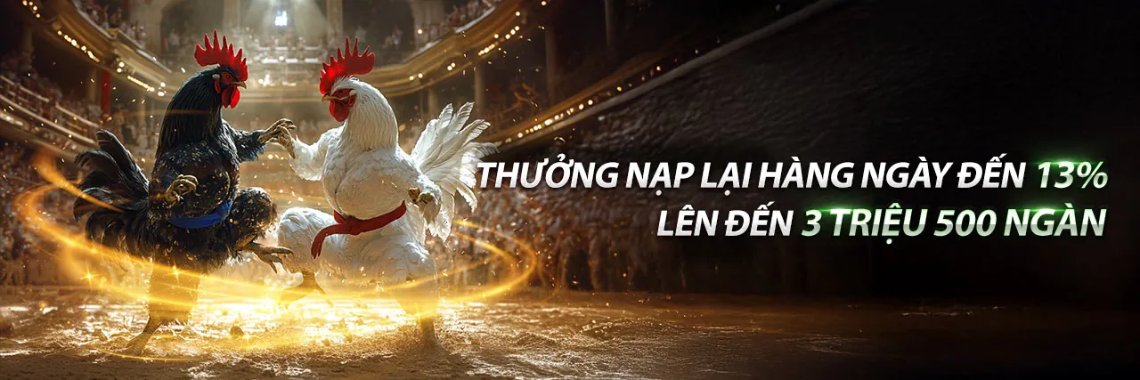 Đá gà trực tuyến kịch tính tại new8 link mới